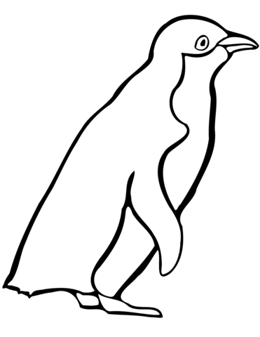 Little Blue Penguin Coloring Page